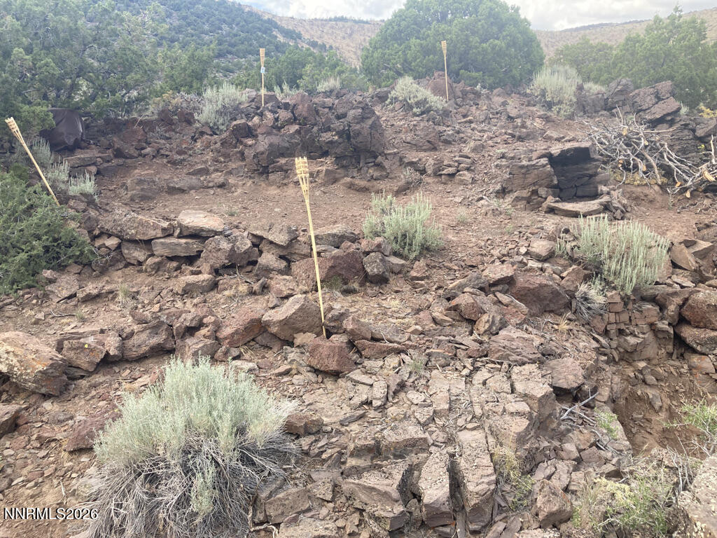 AD9EFC58-D551-4D56-ACA1-3CA89EE4BE56_1_1