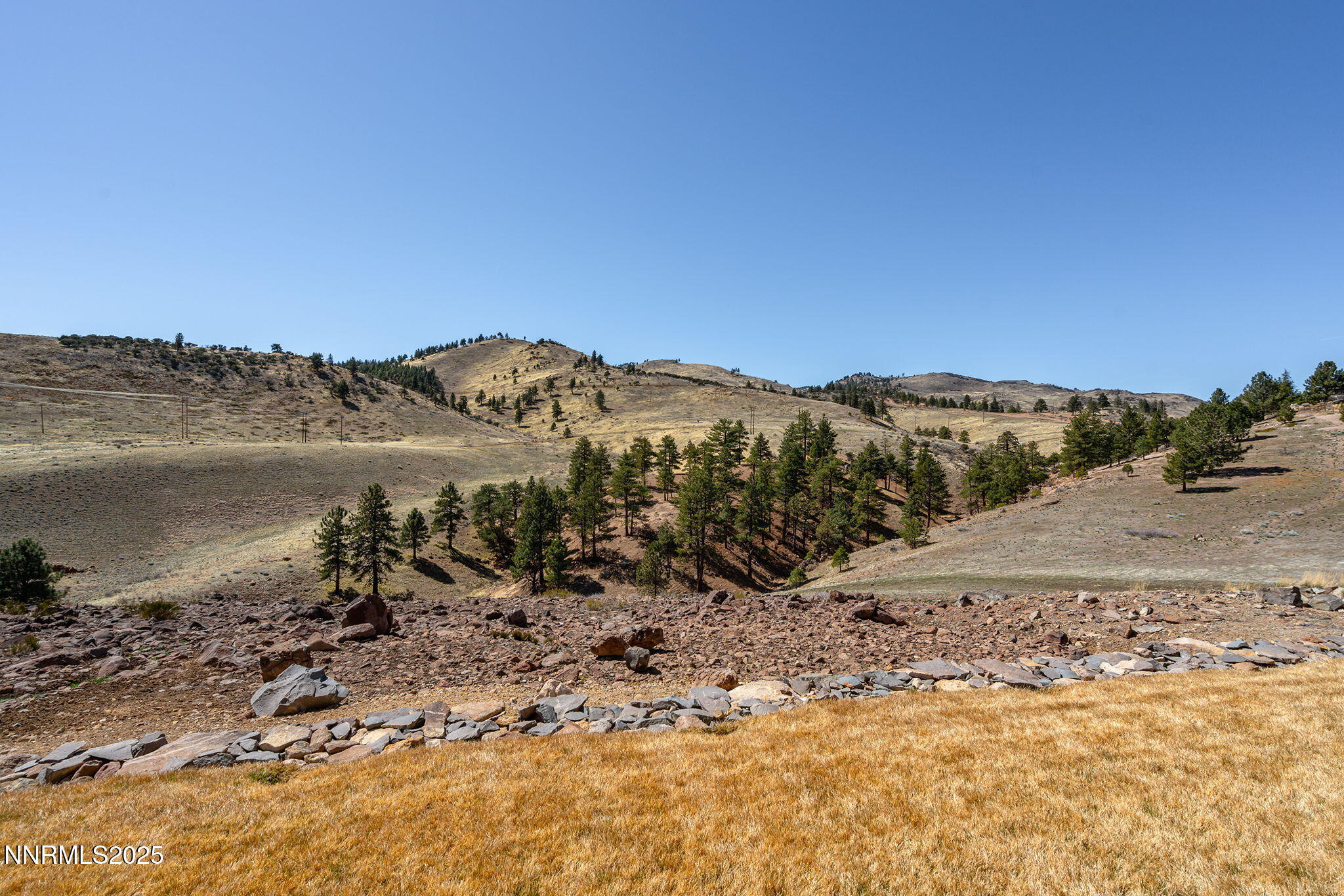 56-web-or-mls-_DSC5568