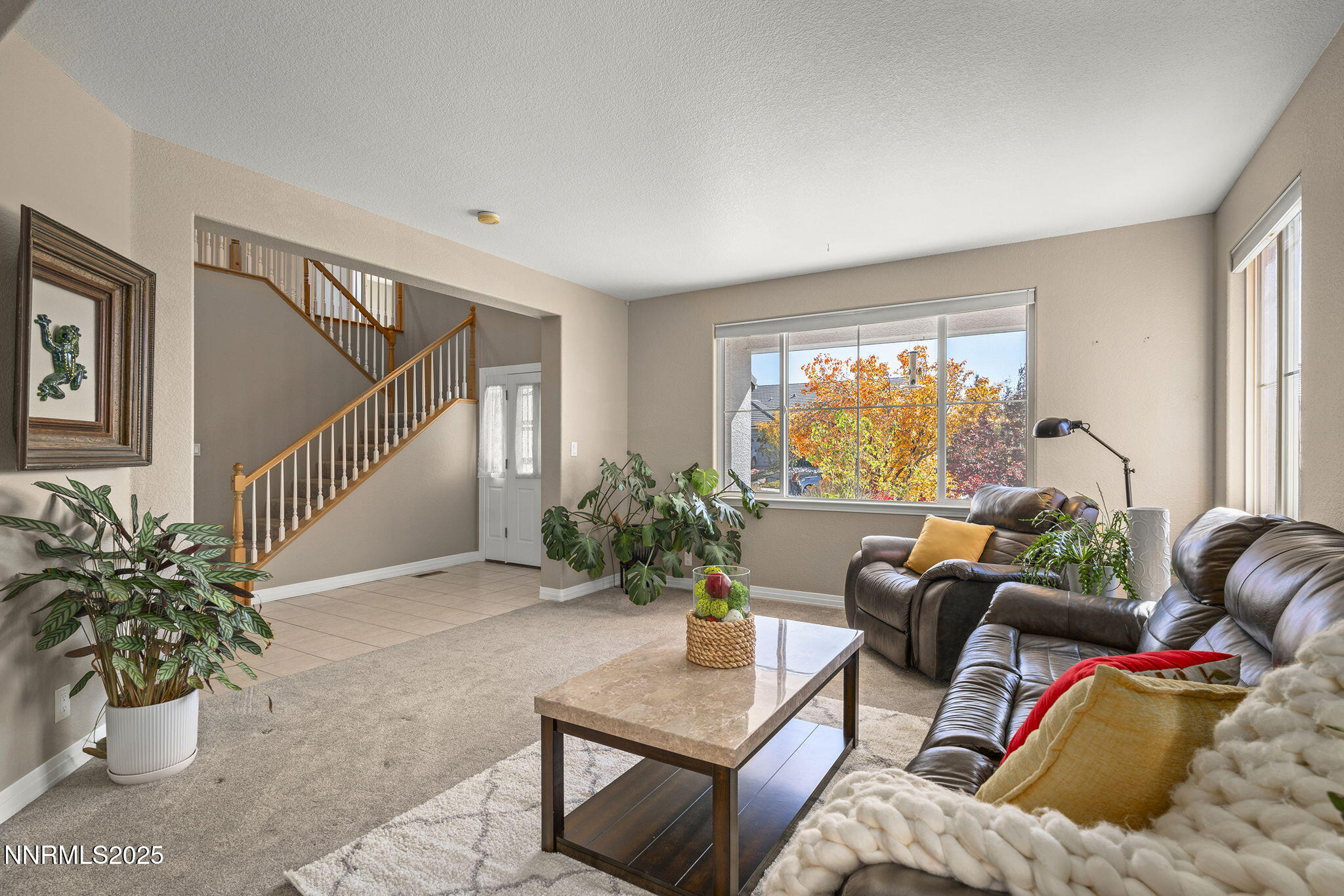 9-web-or-mls-_DSC5780