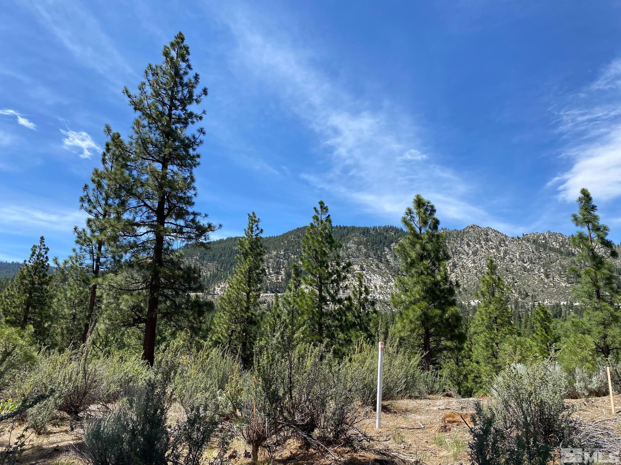 122 Chamberlain Court