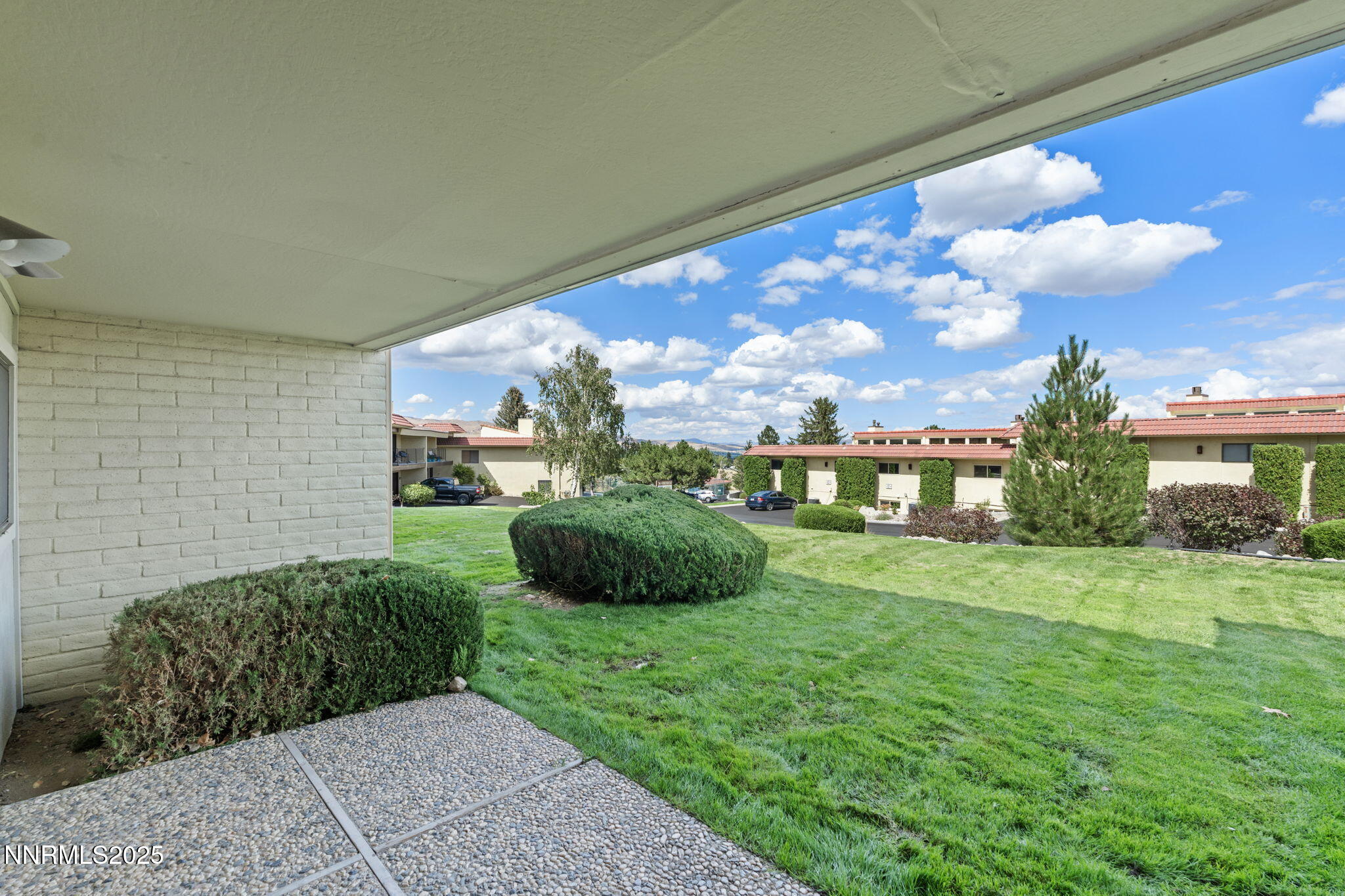 53-web-or-mls-DSC00114