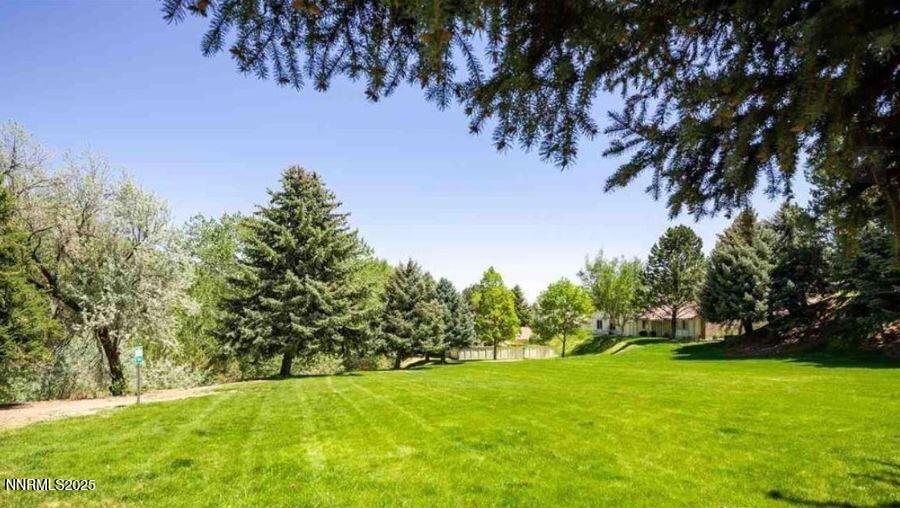 Common Area - Greensward