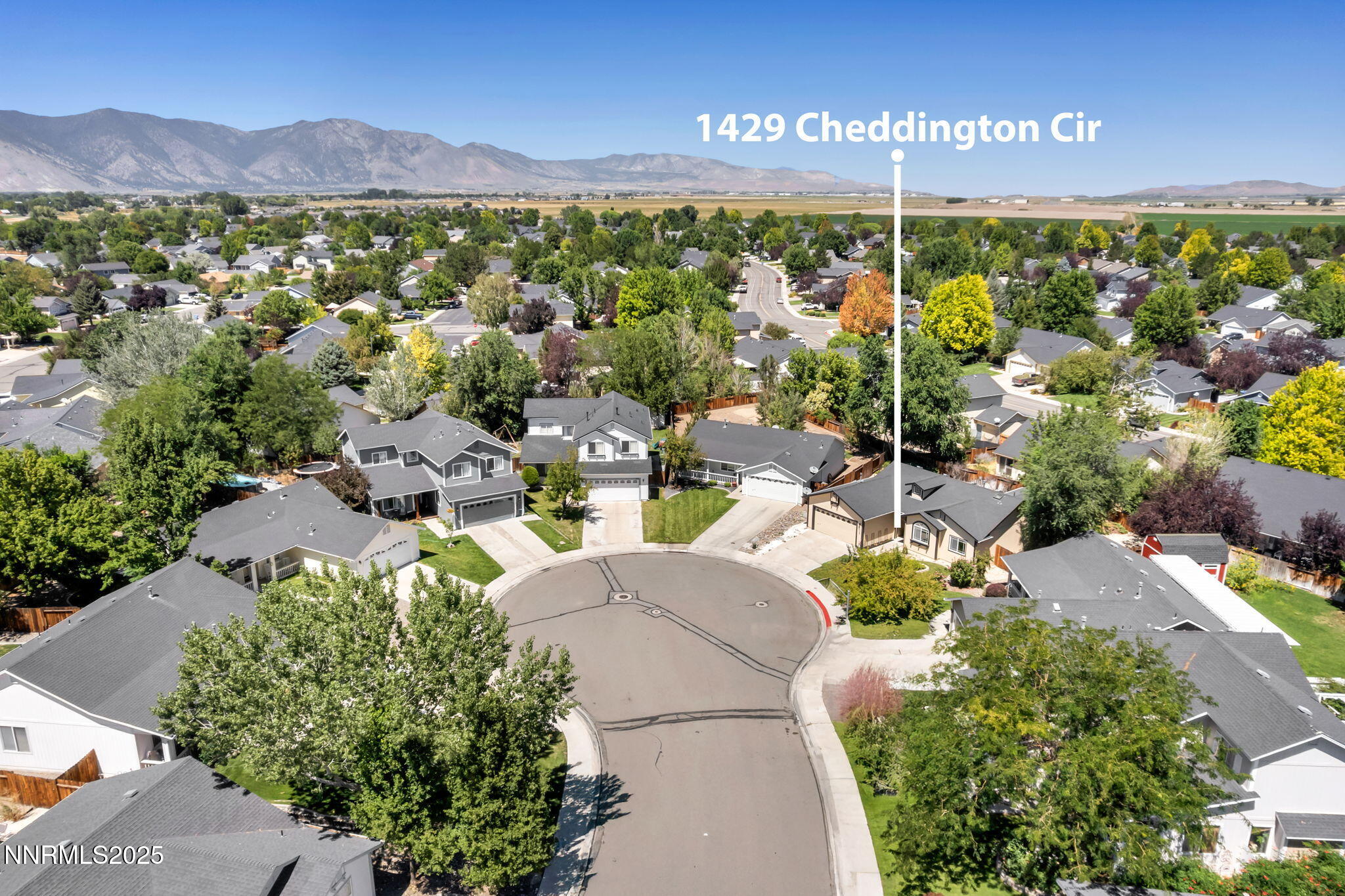 34-web-or-mls-1429-cheddington-cir