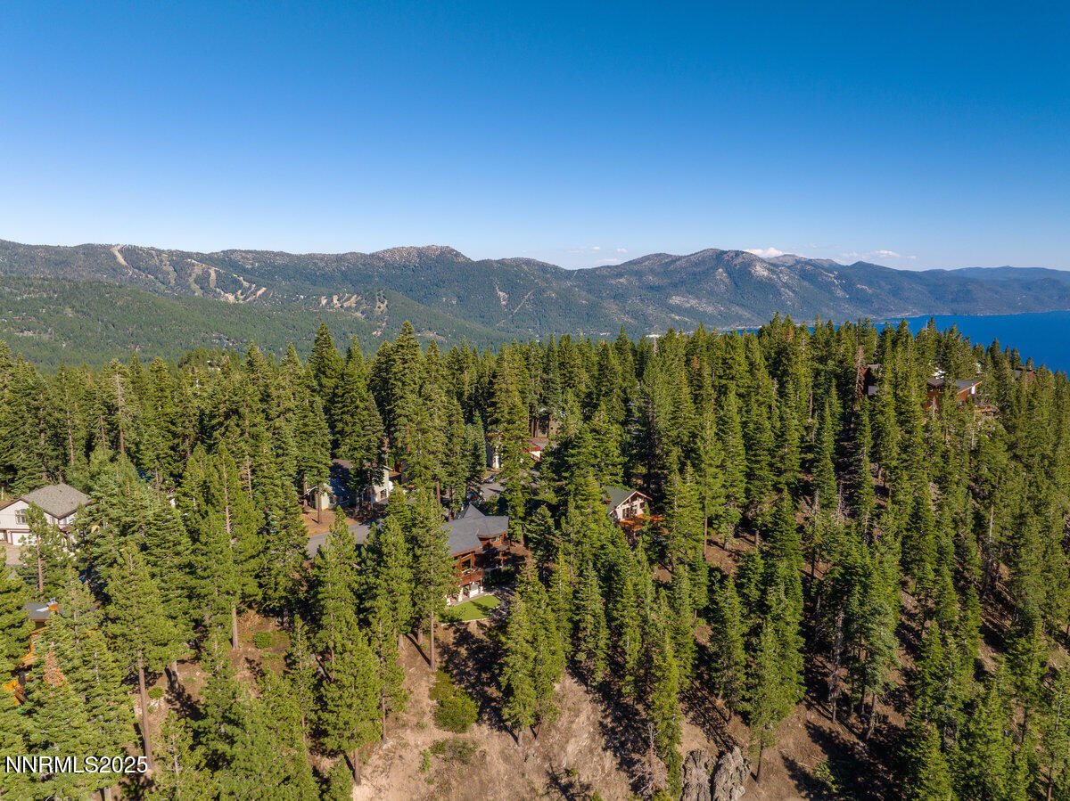 016_996_tyner-16_397