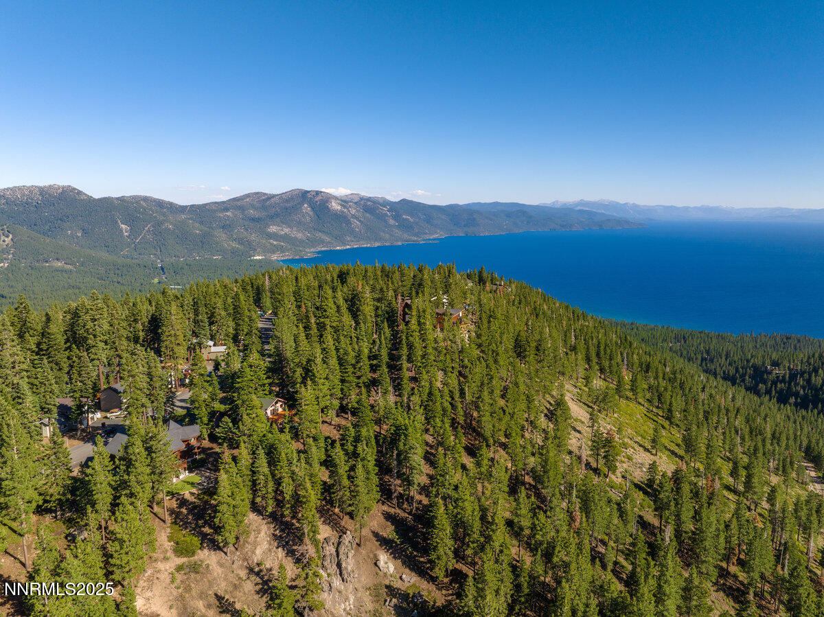 018_996_tyner-18_411