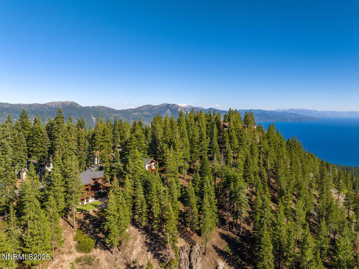 017_996_tyner-17_389