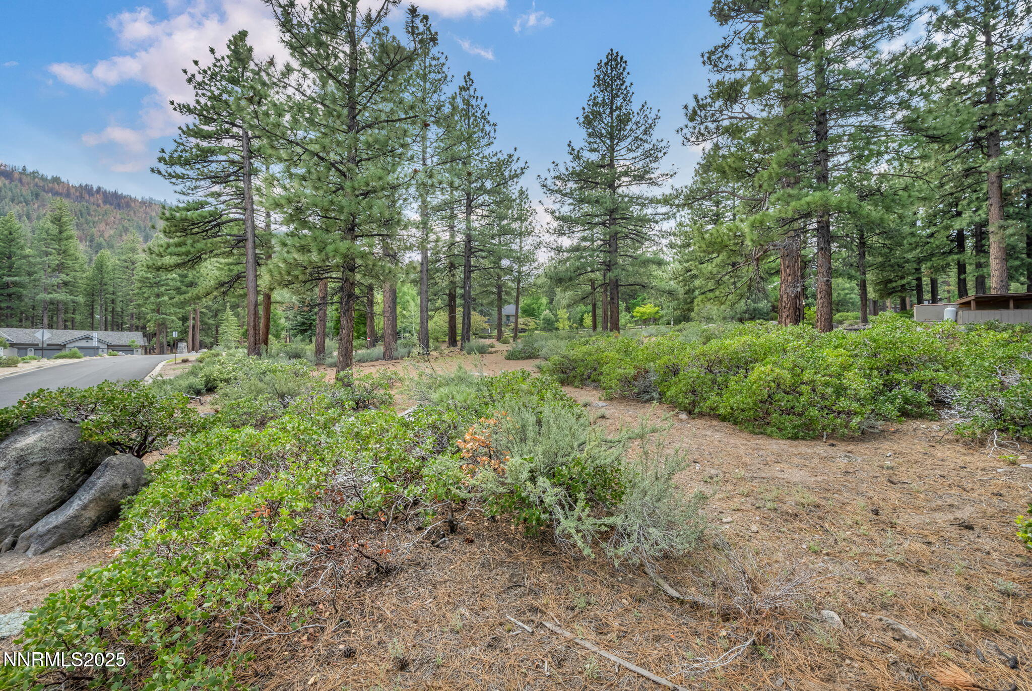 9-web-or-mls-307-e-jeffrey-pine-rd