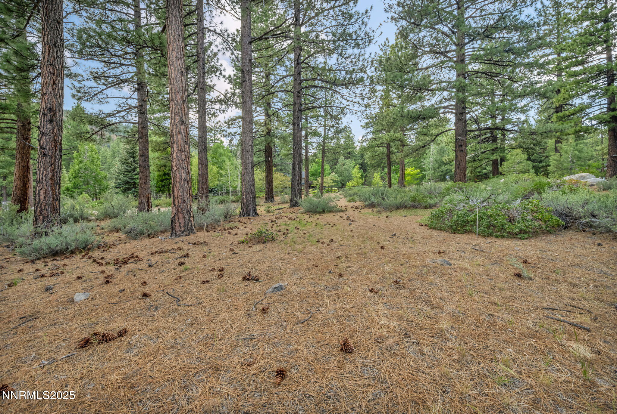6-web-or-mls-307-e-jeffrey-pine-rd
