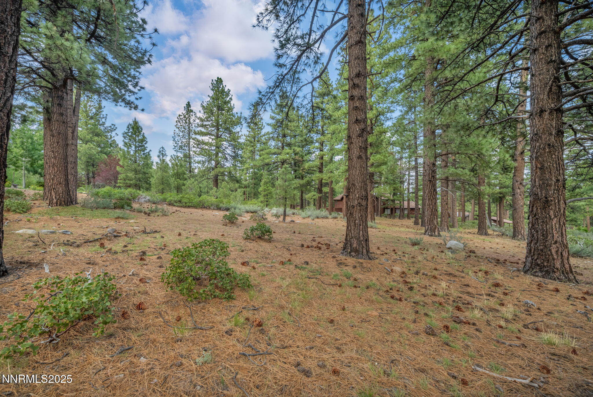 8-web-or-mls-307-e-jeffrey-pine-rd