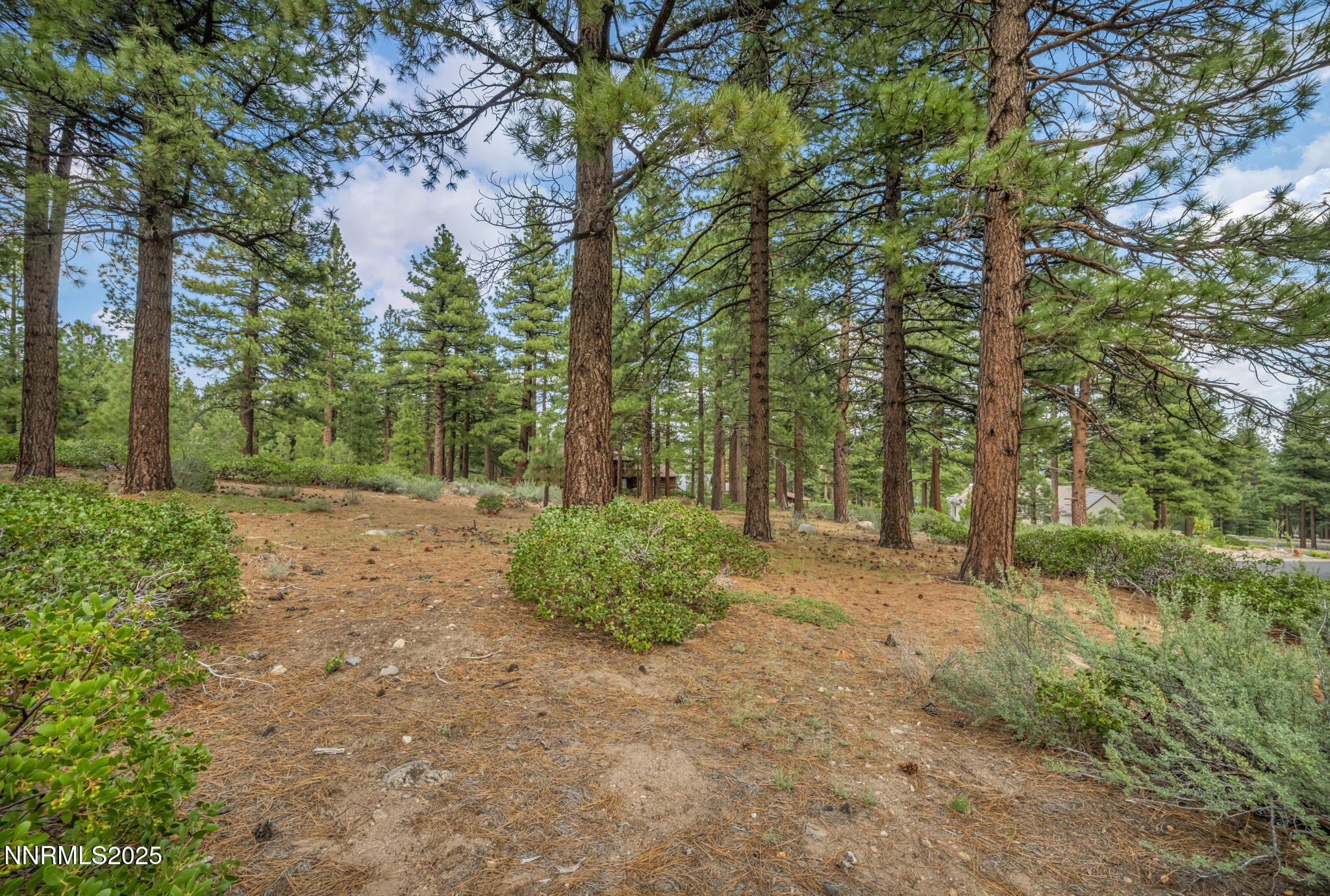 7-web-or-mls-307-e-jeffrey-pine-rd