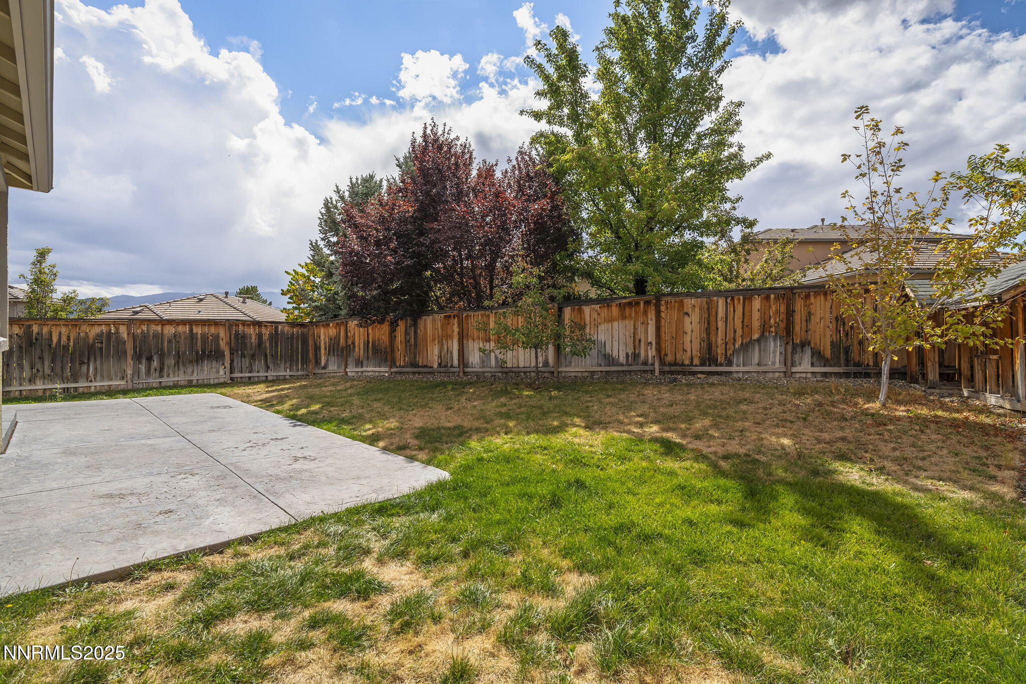 30-web-or-mls-_DSC2958