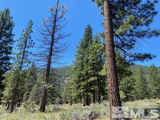 Homesite 94