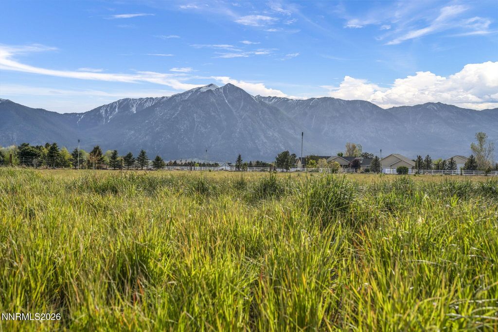 Photo of 1097 Meadowlark Circle, Gardnerville, NV 89460 (MLS # 260005485)
