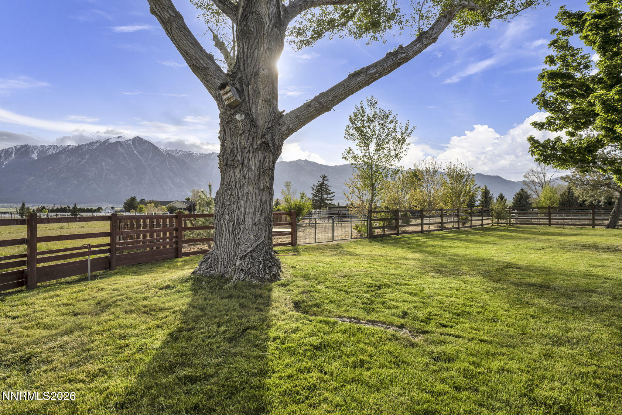 33-web-or-mls-1097-meadowlark-cir