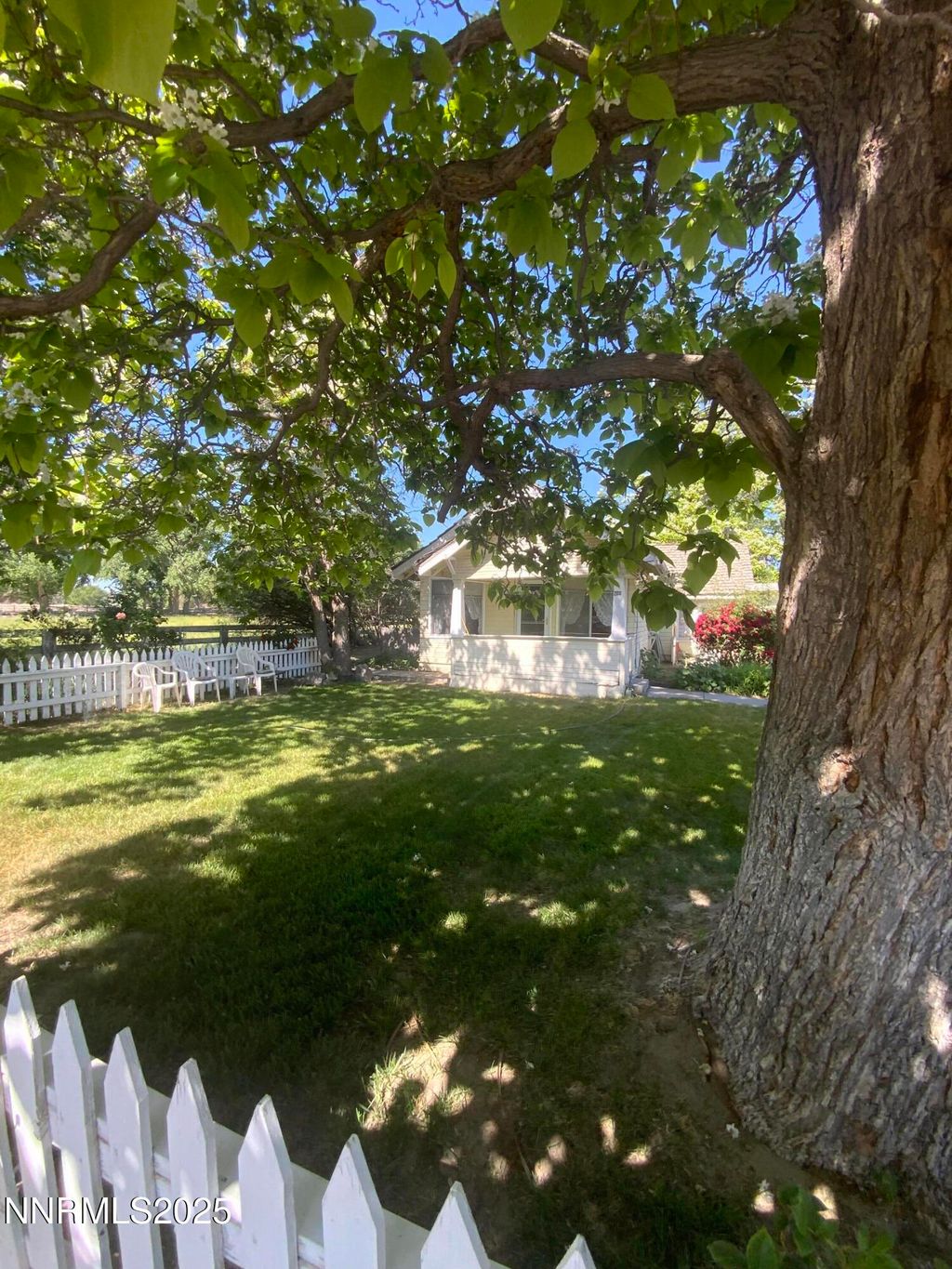 Photo of 200 Mclean Road, Fallon, NV 89406 (MLS # 250004608)