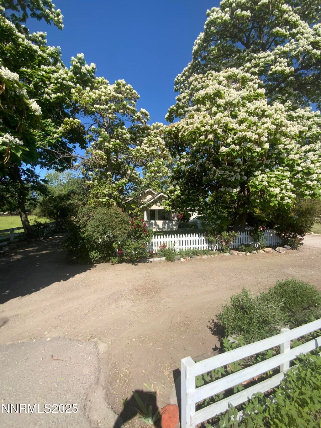 Photo of 200 Mclean Road, Fallon, NV 89406 (MLS # 250004608)