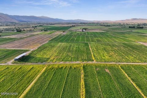 2673 NV-208 Highway Smith Valley NV 89444