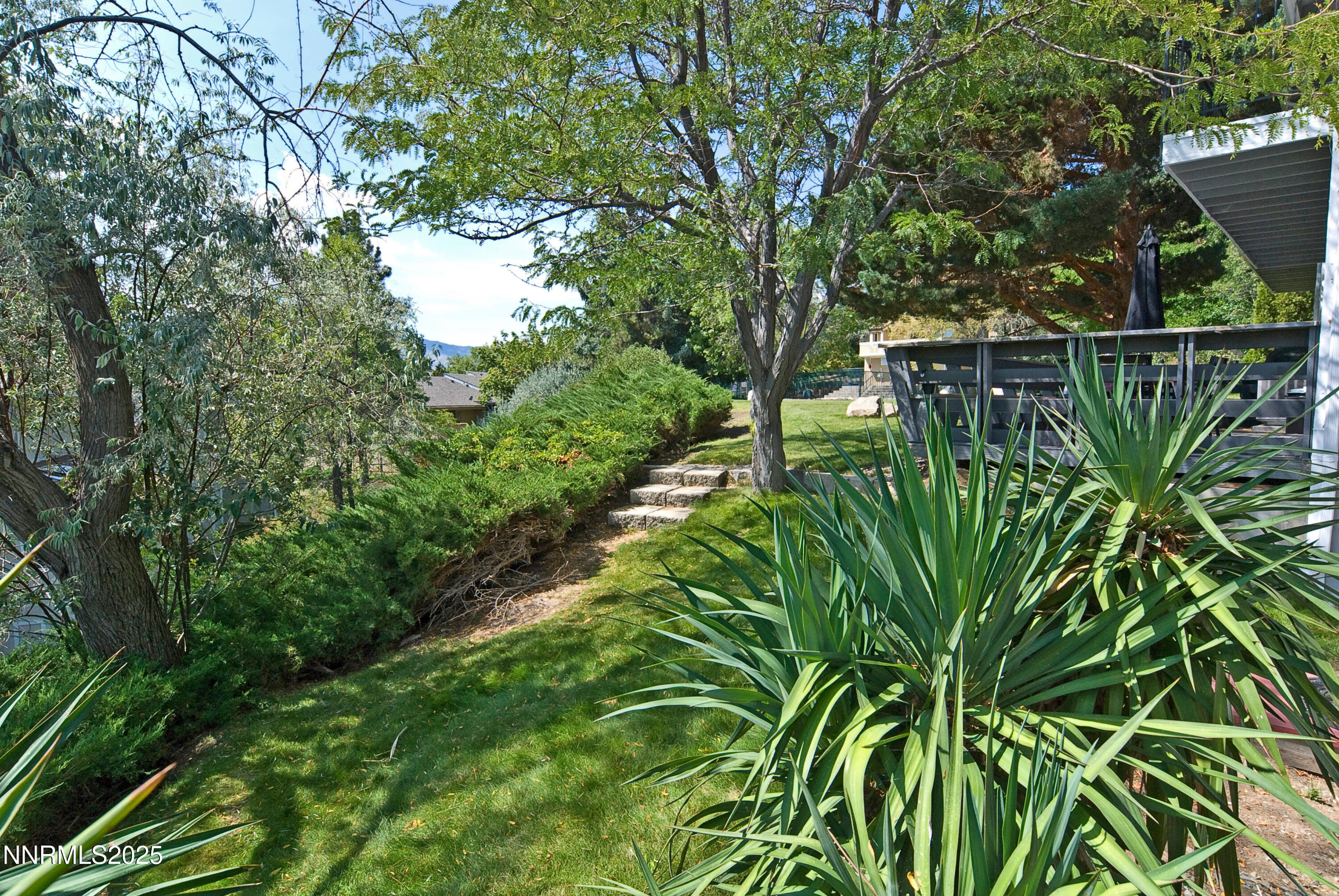 3520 Balboa Dr Reno NV 89503-print-022-0