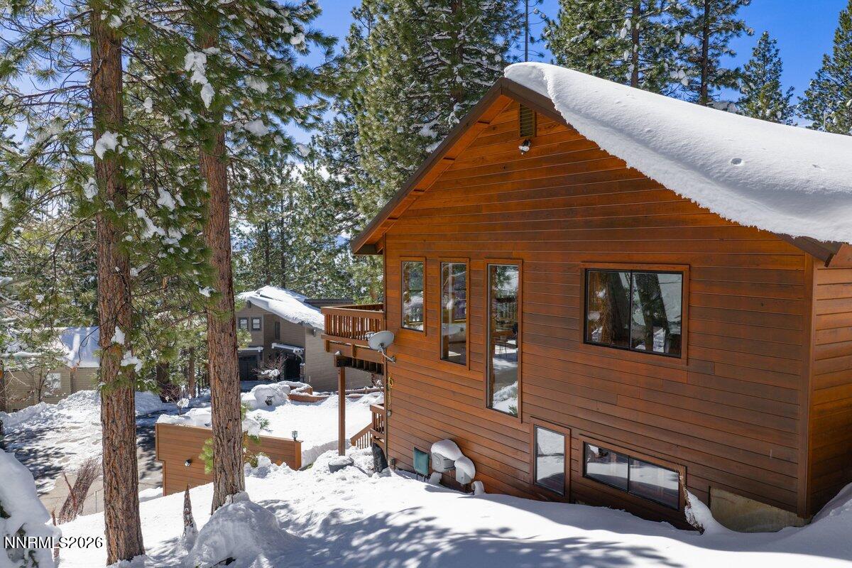 017_572_rockrose-9_944