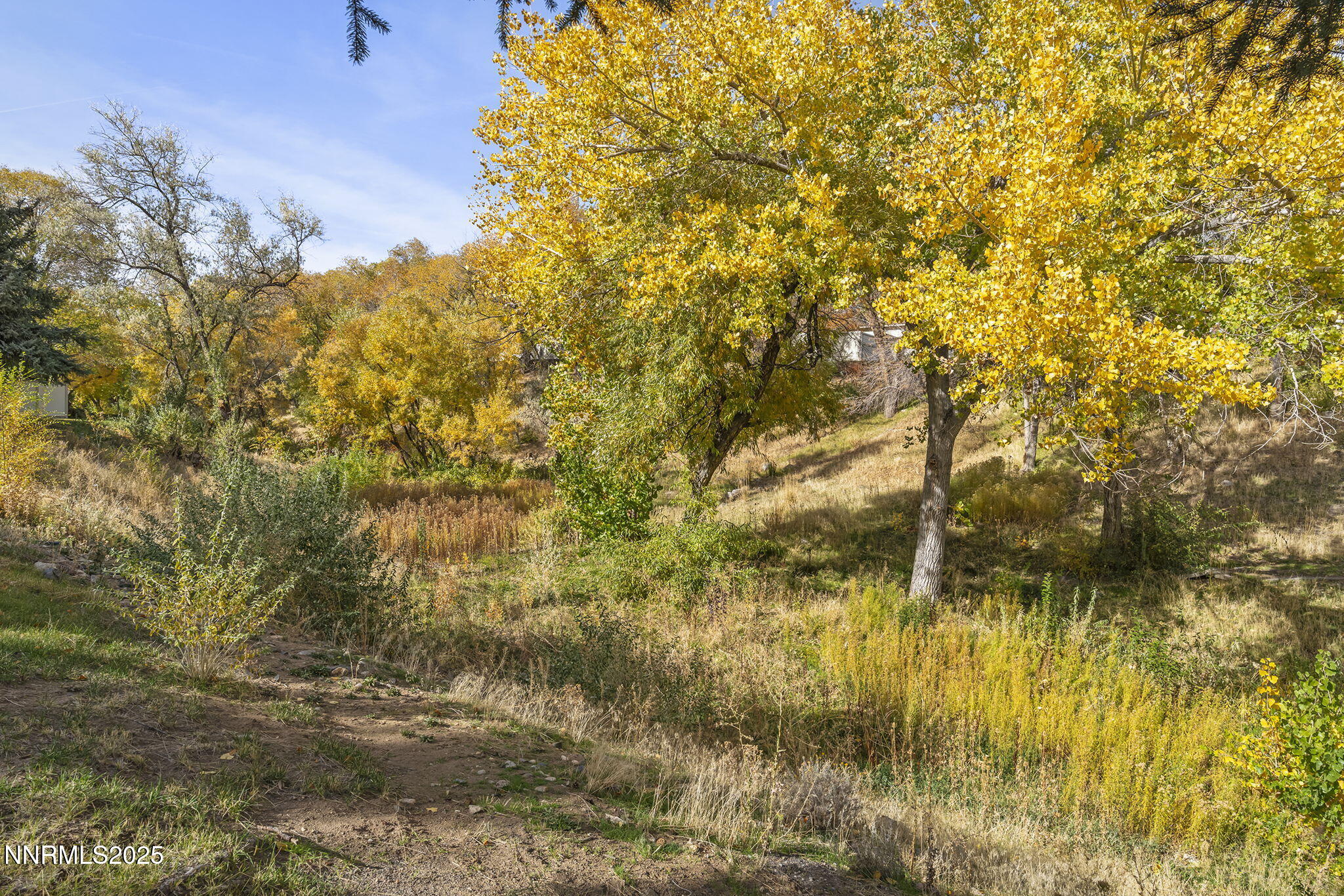 22-web-or-mls-_DSC8636