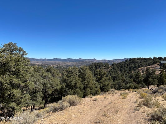 1420 YELLOWJACKET RD, RENO, NV 89521 - Image 9fe24decf009c4f330c2c3fc71899edd/2339133683