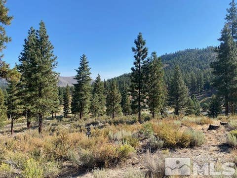 MLS: 260006848