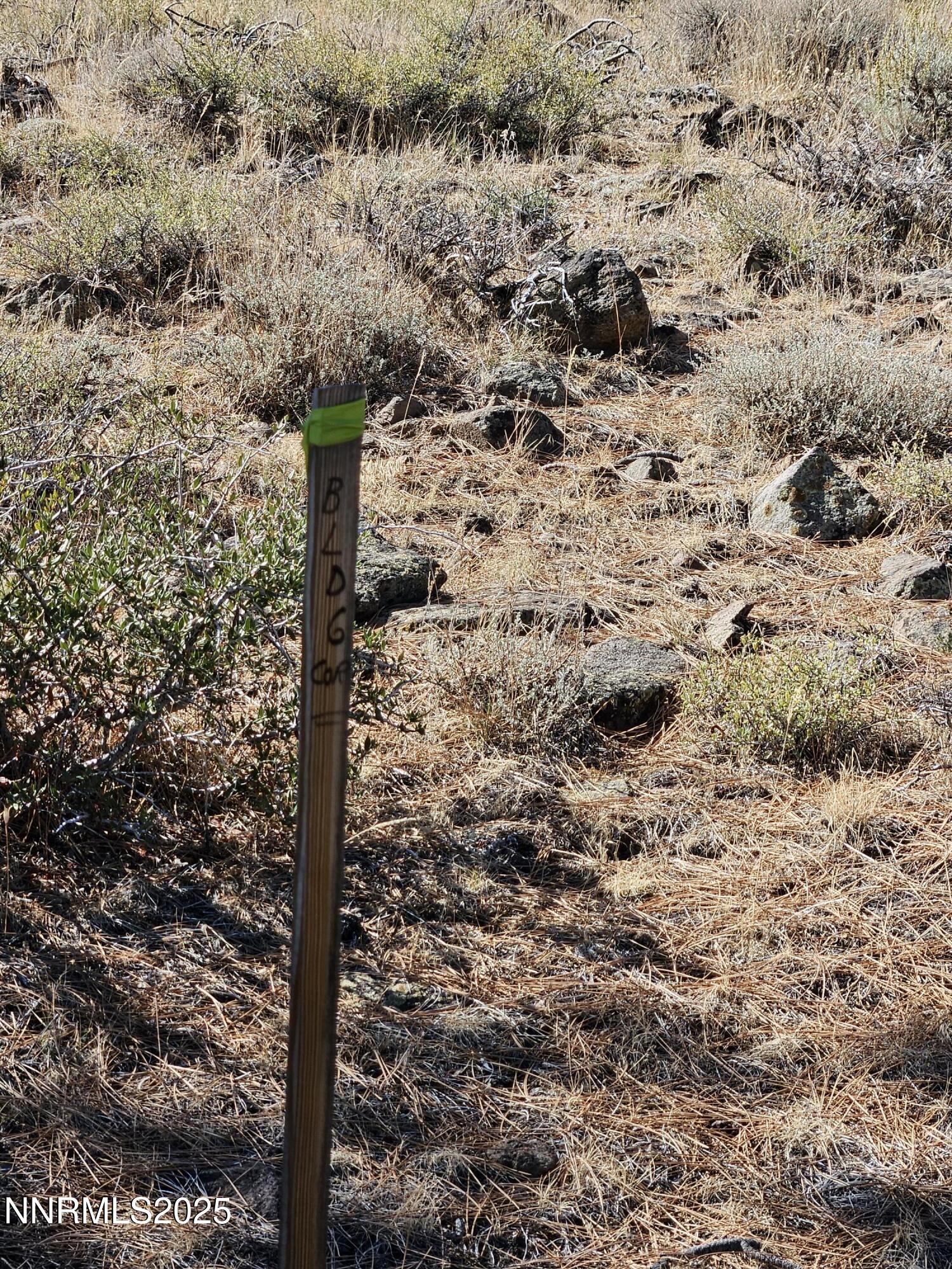 Building Site Staked - Front Door