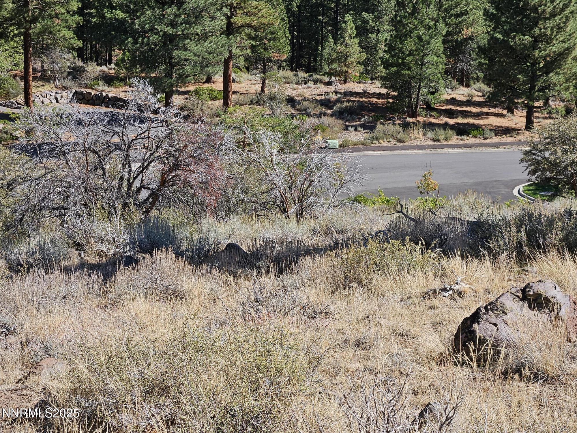 Proposed Sewer Leach Field Area 2