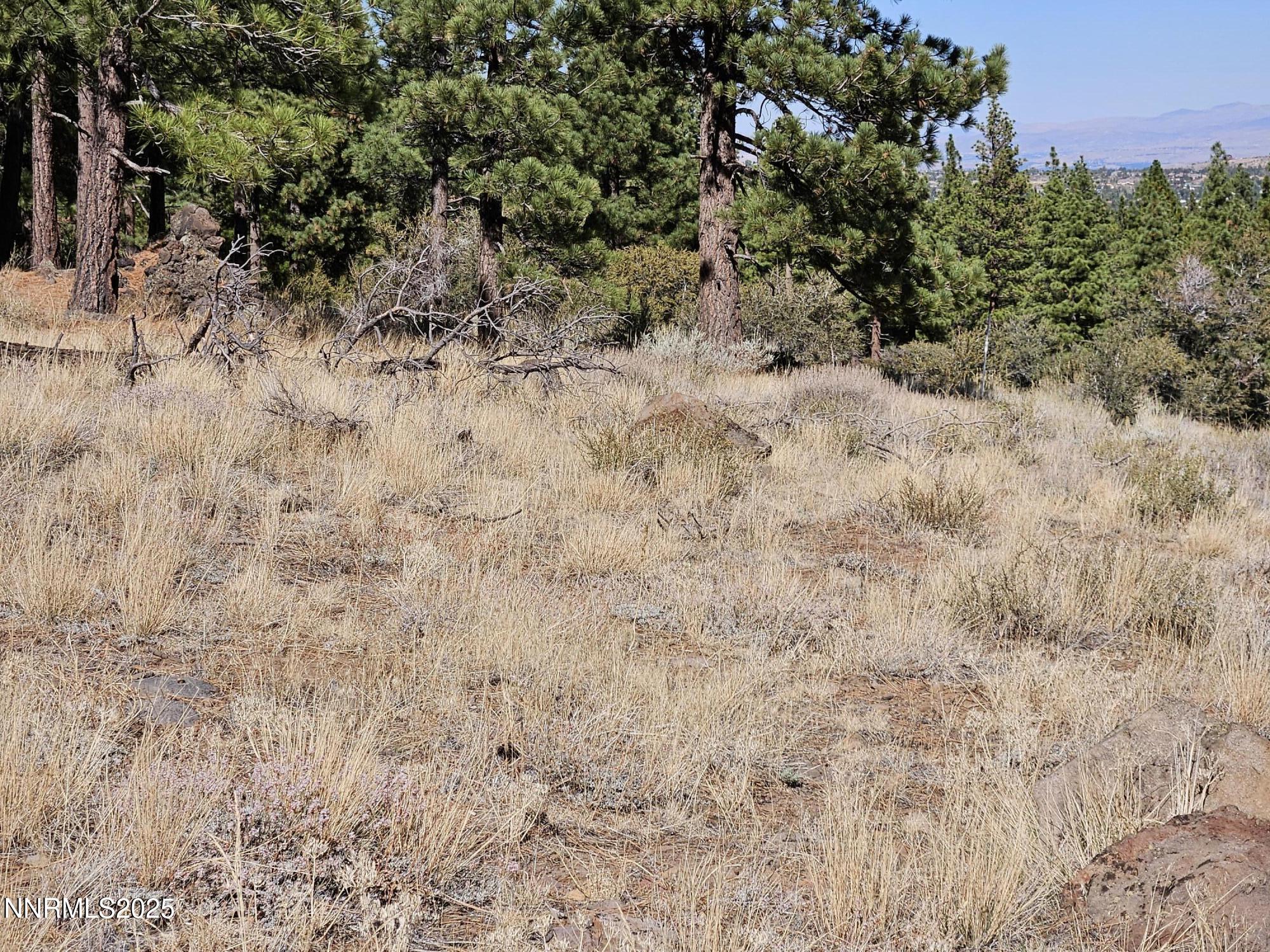 Proposed Sewer Leach Field Area 4