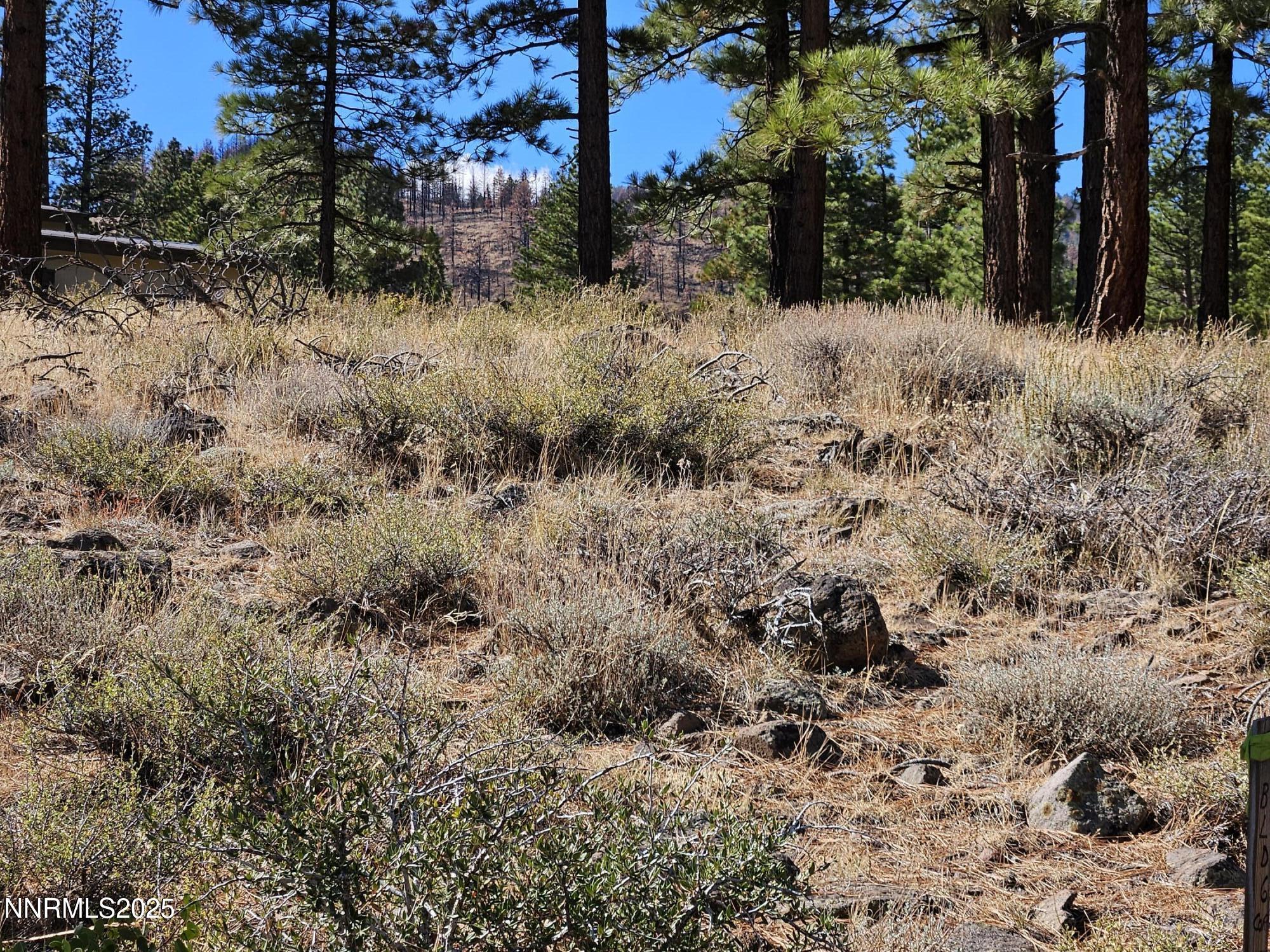 Building Site Notheast Side