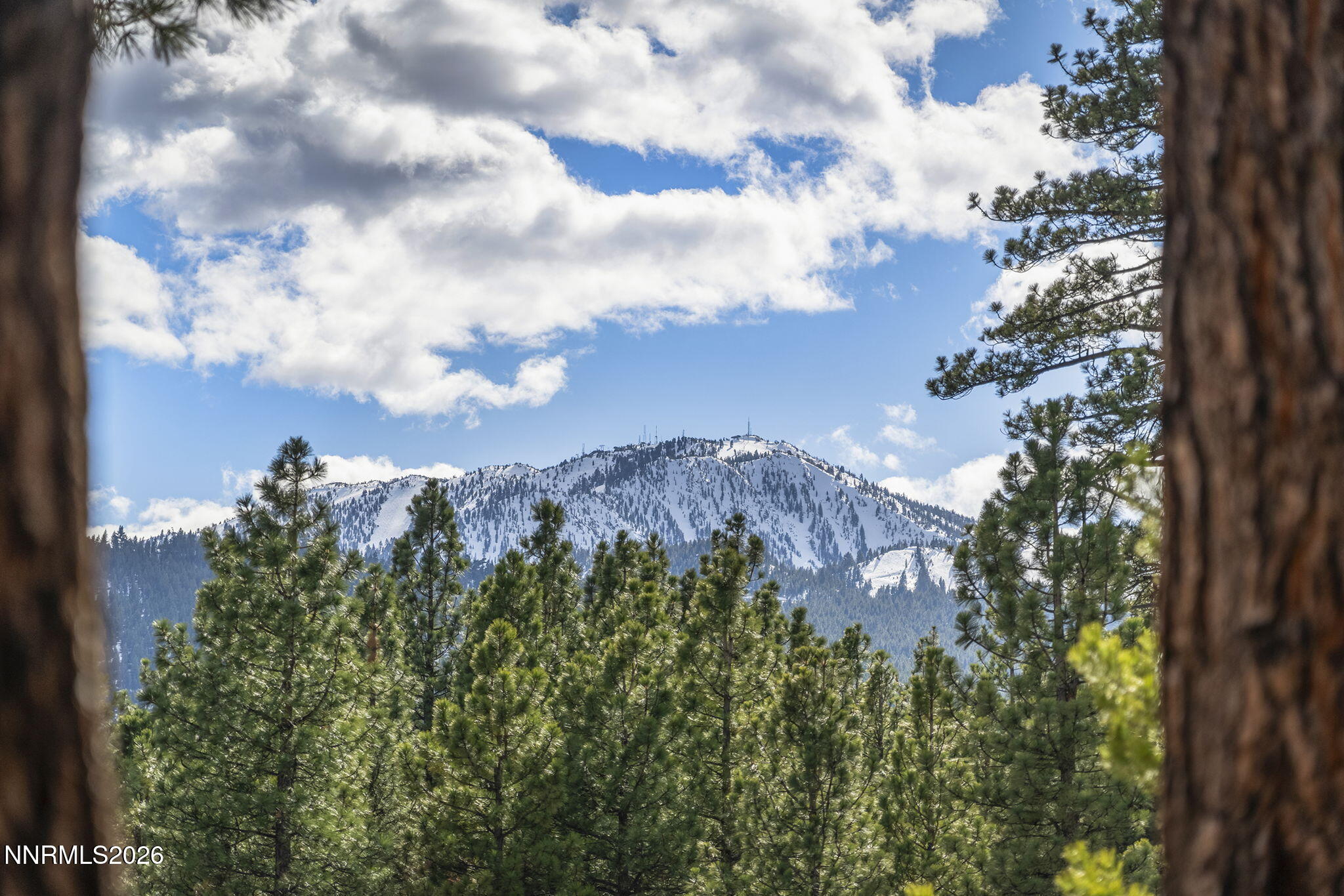 30-web-or-mls-_DSC1504