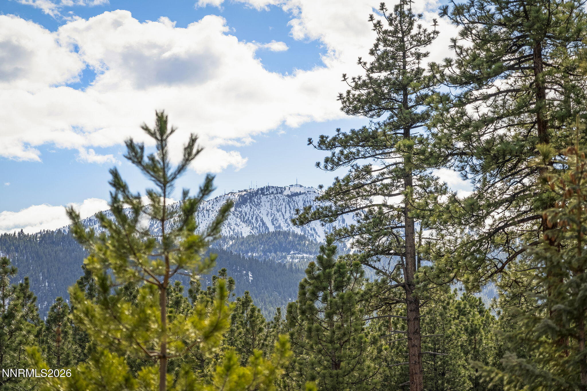 19-web-or-mls-_DSC1495