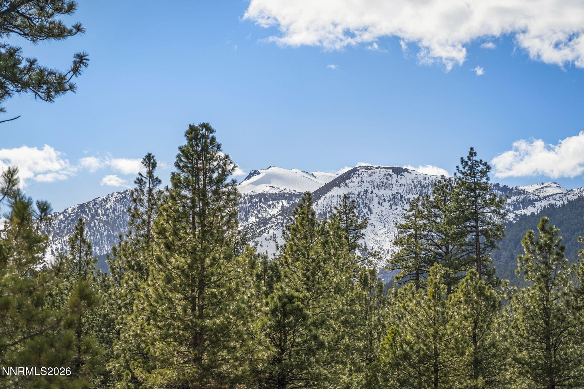 31-web-or-mls-_DSC1507