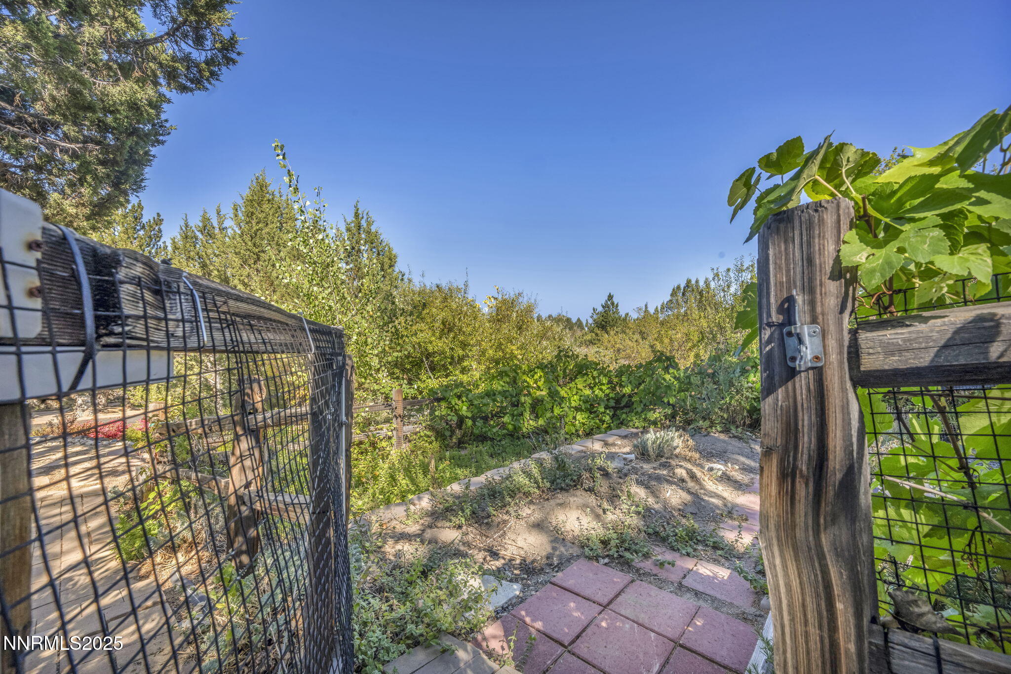 21-web-or-mls-4283-water-hole-rd