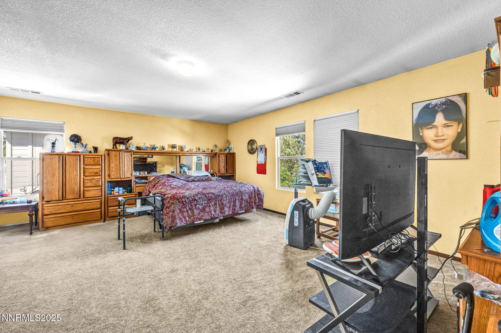 19-web-or-mls-9599-canyon-meadows-dr