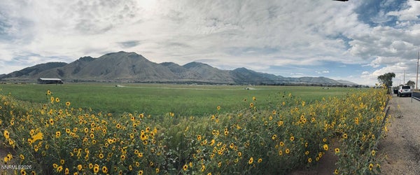 TBD LOWER COLONY ROAD # C3, SMITH VALLEY, NV 89444 - Image a3a47e38b29052d6027c71264abee673/1456780859