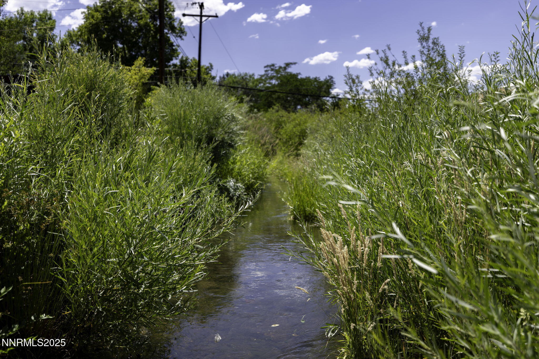 60-web-or-mls-4879 Idlewild-61