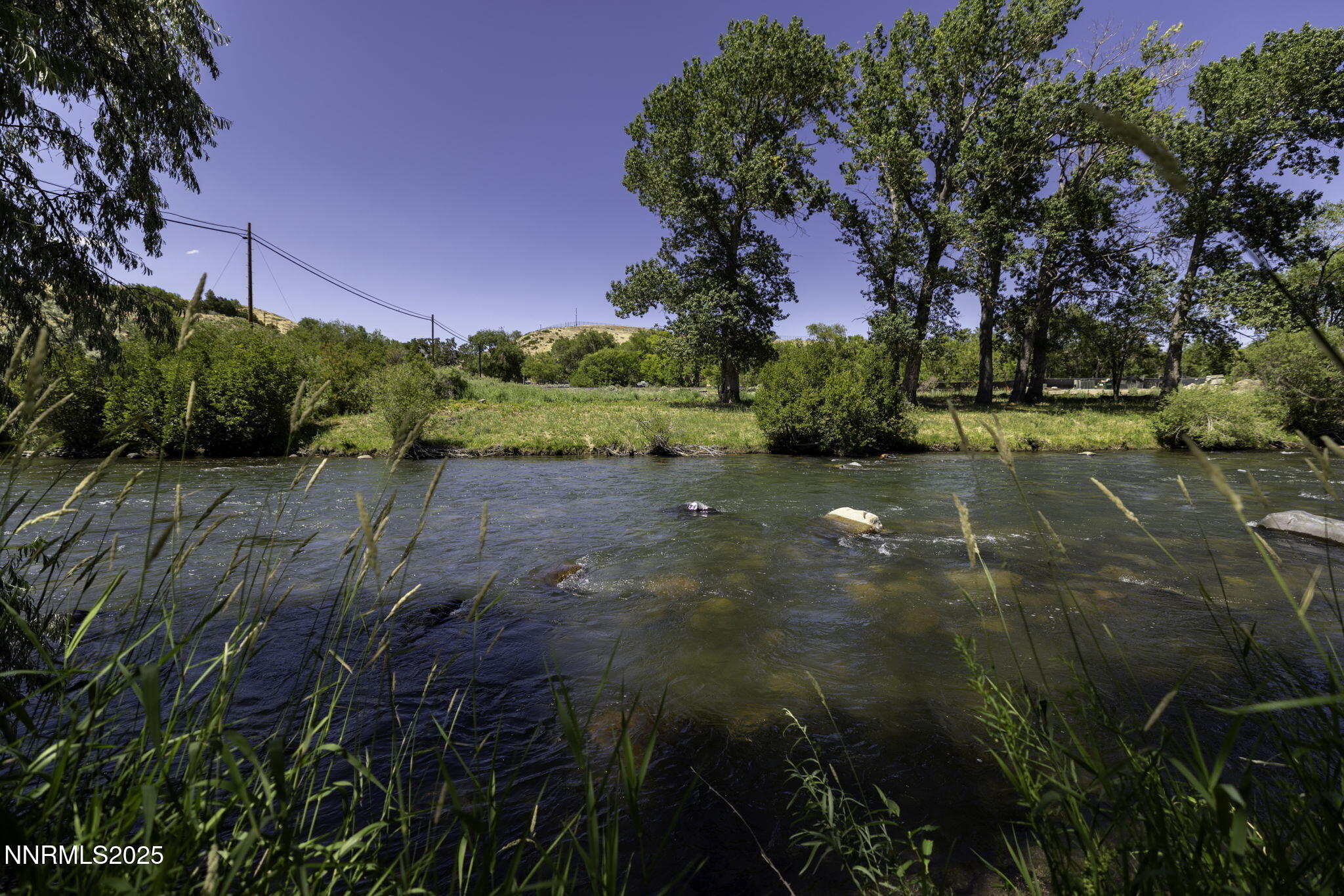 55-web-or-mls-4879 Idlewild-55