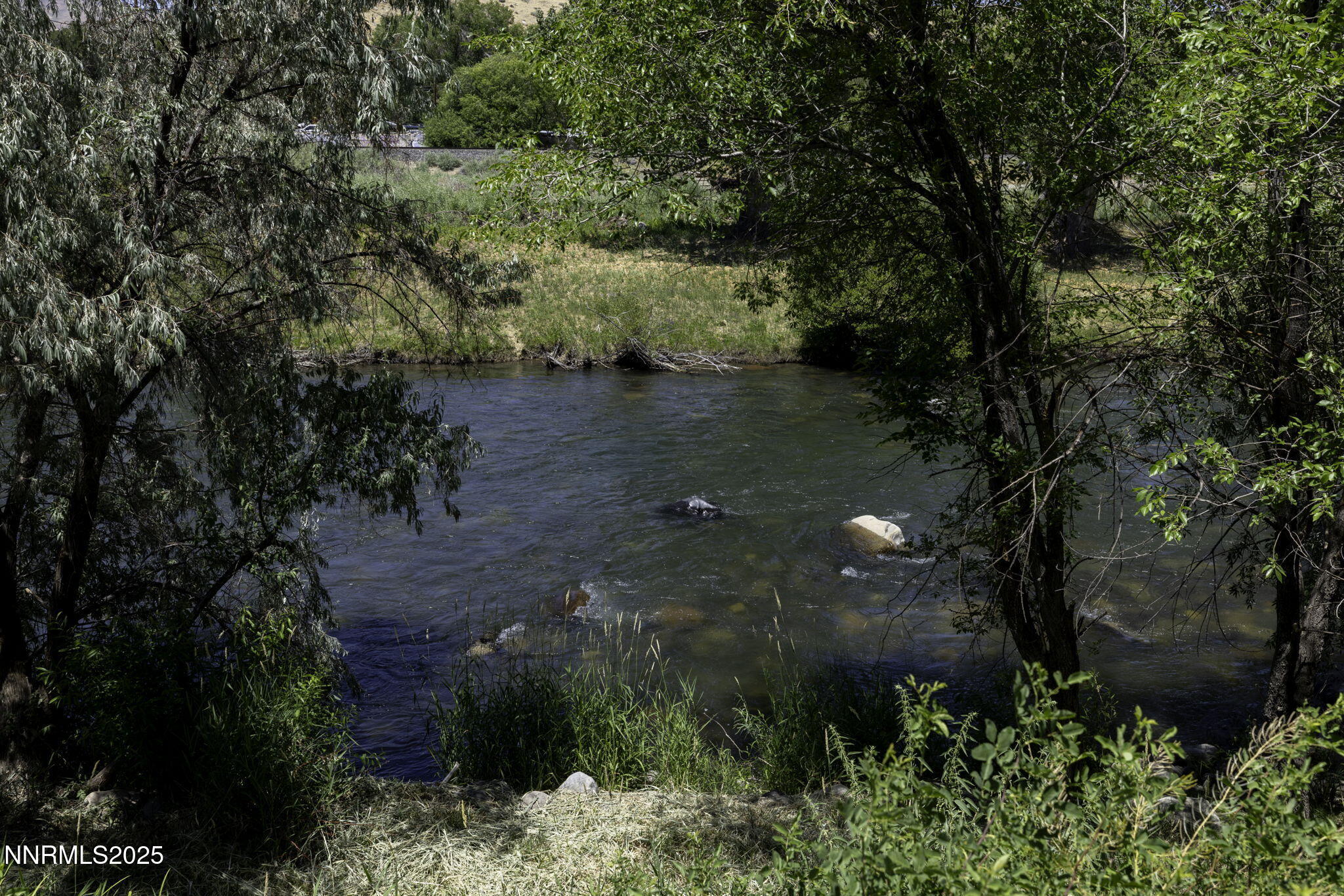 49-web-or-mls-4879 Idlewild-49