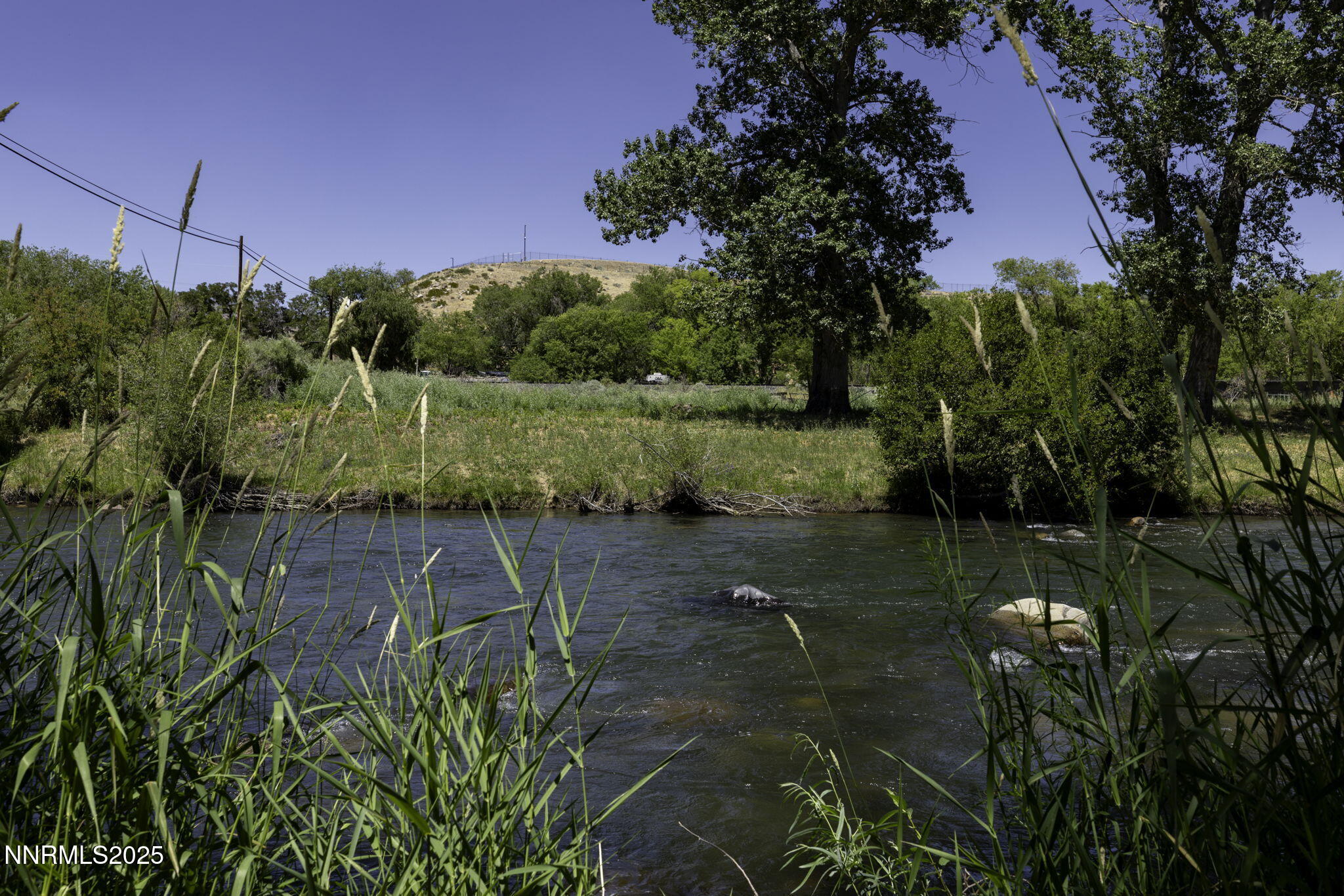 53-web-or-mls-4879 Idlewild-50