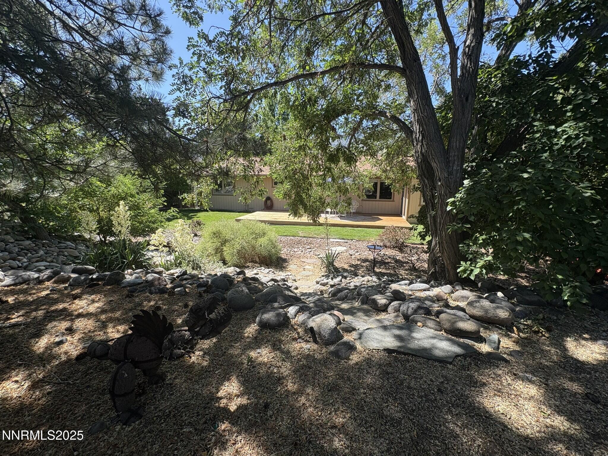 26 Backyard Summer_1