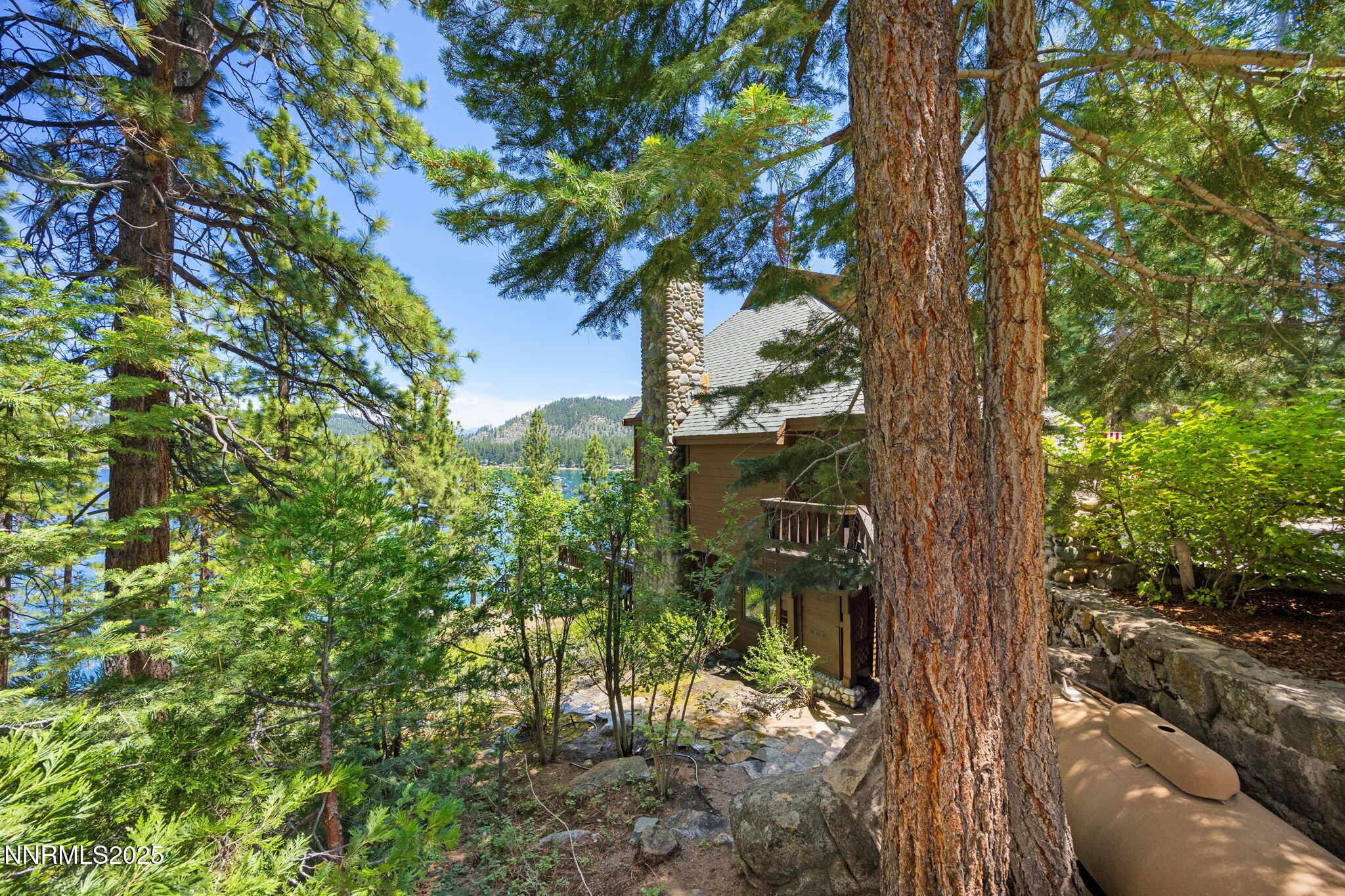 Side Yard with Trees