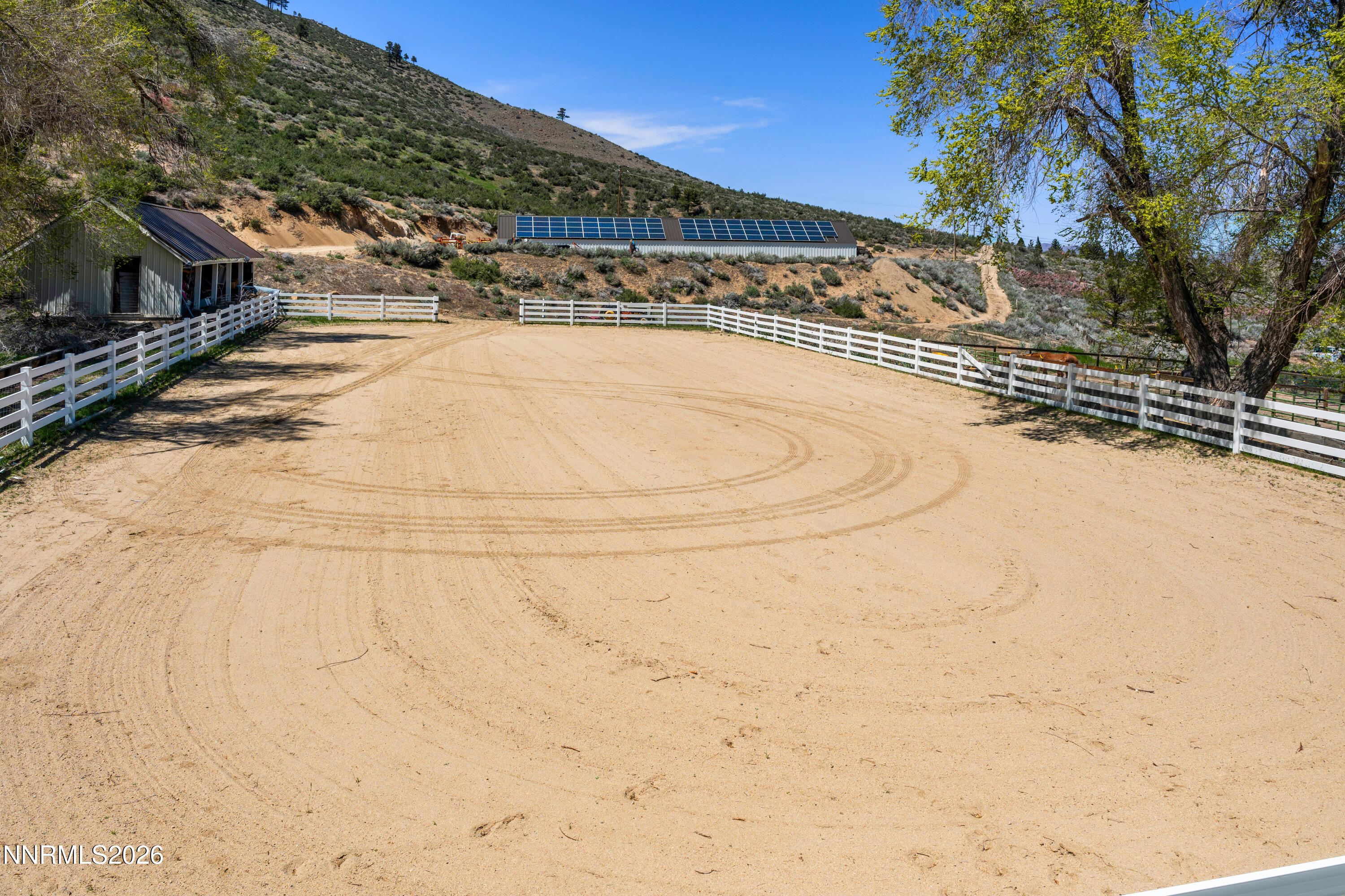 Arena