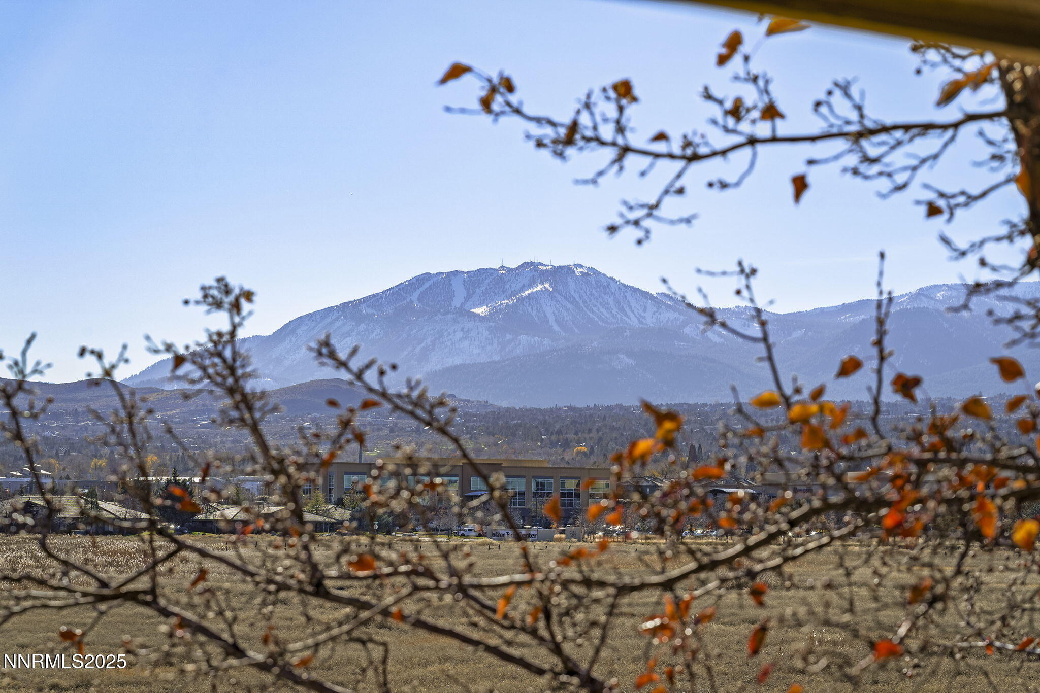 25-web-or-mls-_DSC0581