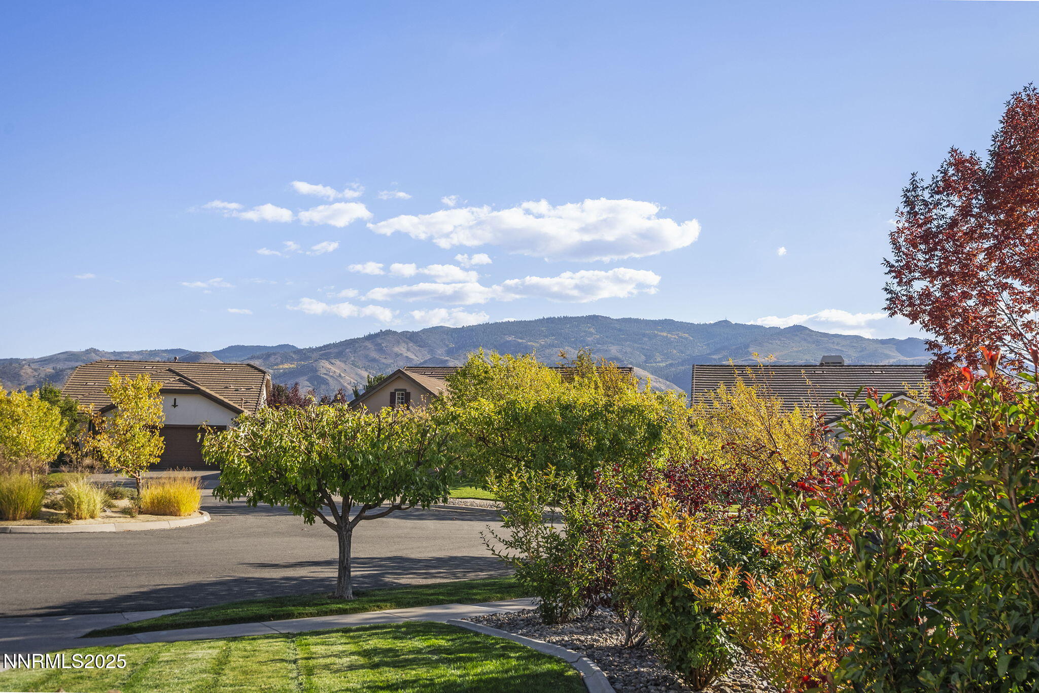 26-web-or-mls-_DSC0701