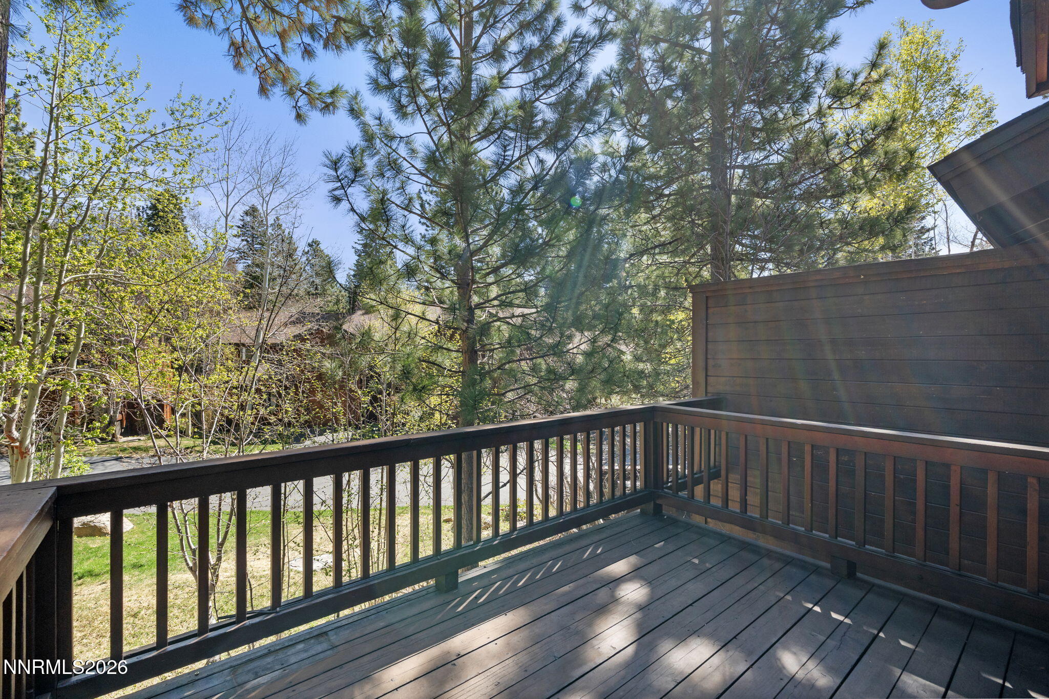 29-web-or-mls-DSC08522