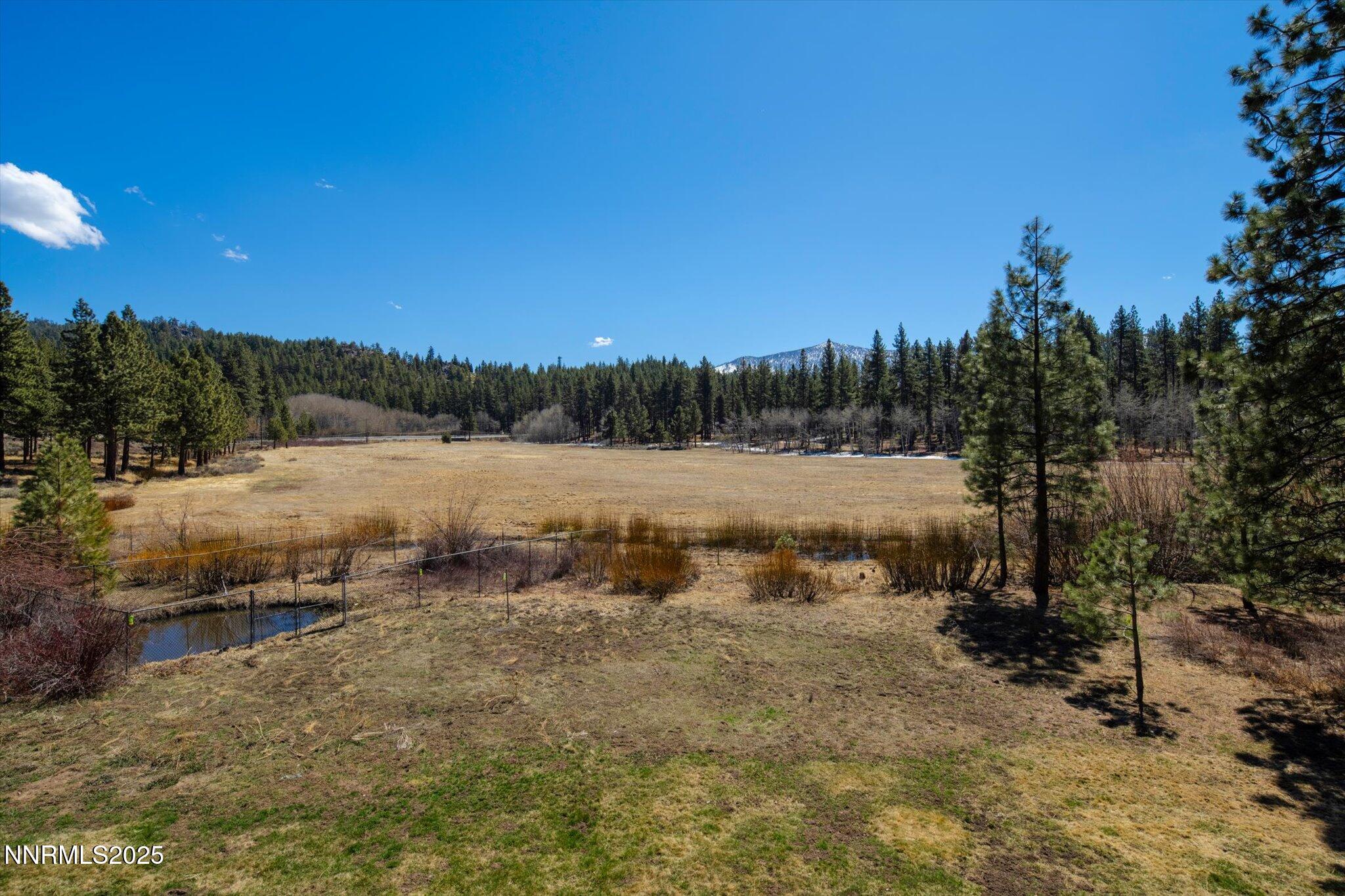 21-Pinewild meadow view