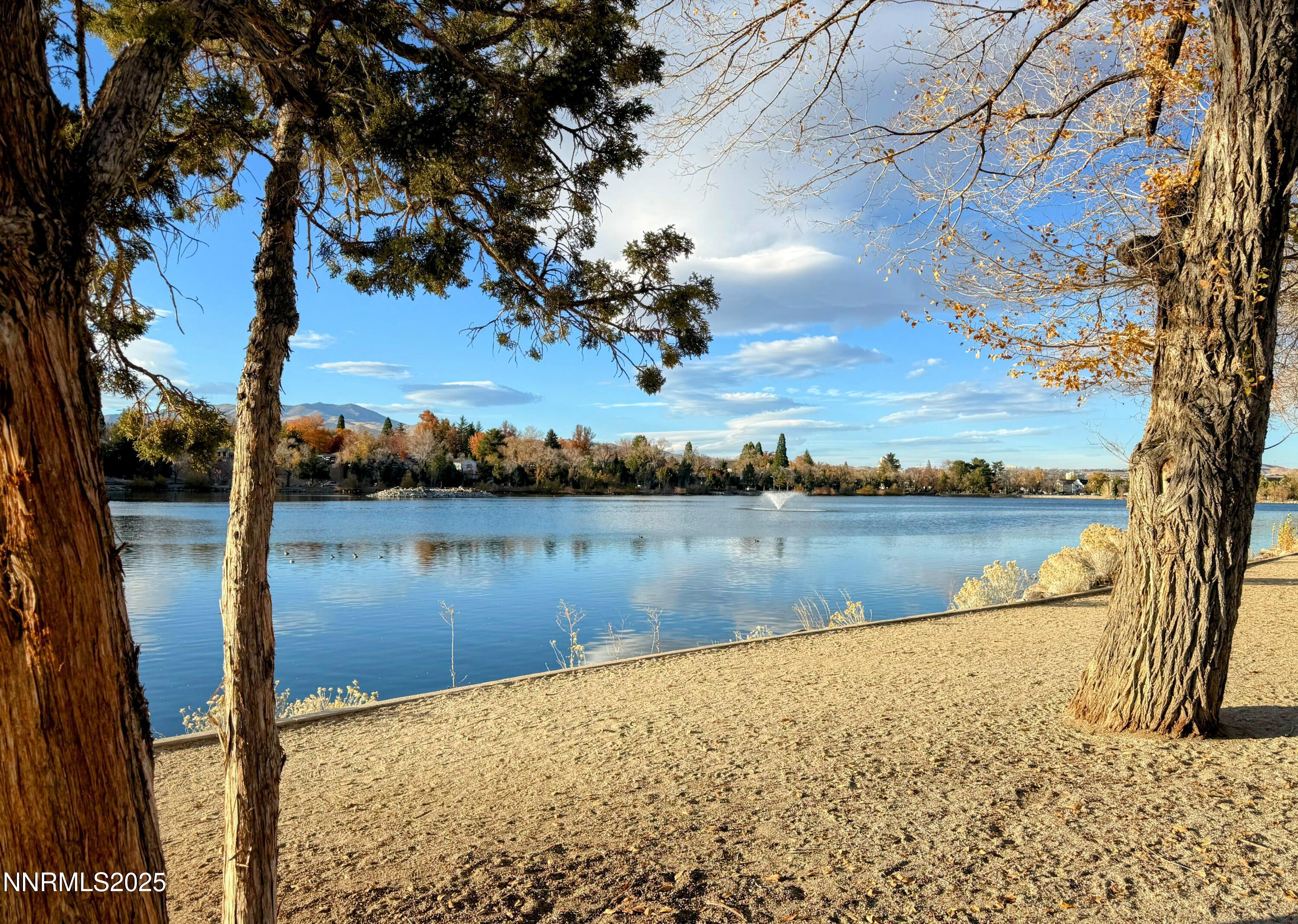 Virginia Lake Beach