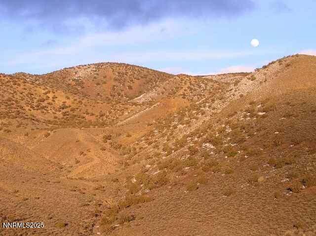 20250411161832579859000000-o