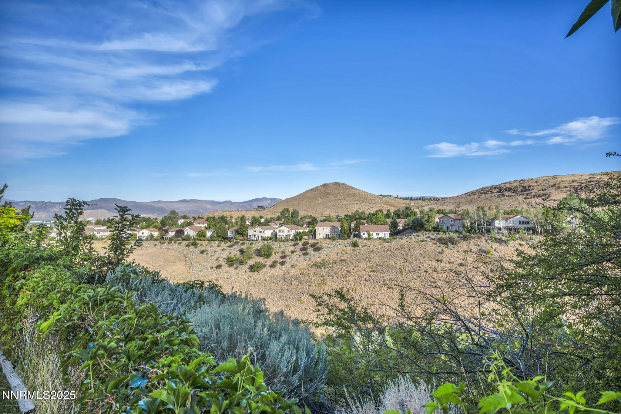 19-web-or-mls-3850-piccadilly-dr